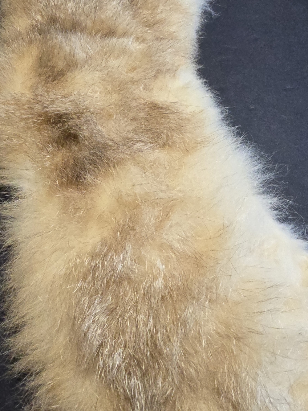 Vintage Fur Shawl Wrap Womens One Size Beige Handmade Quilted Satin Underside - Picture 10 of 16